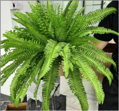 Niki | UV Resistant Faux Boston Fern Plant