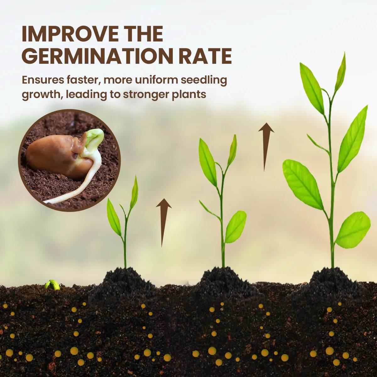 🔥Seasonal promotion🔥-Soil Pro Activator