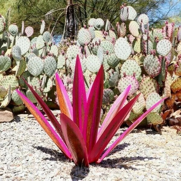 Anti-rust Metal Tequila Agave Plant
