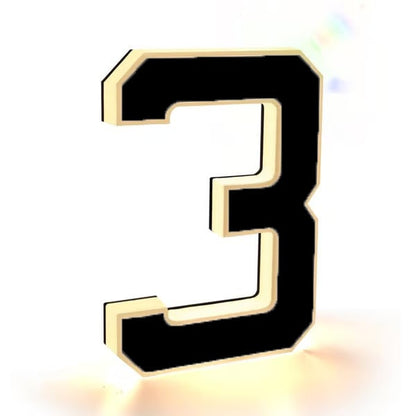 🔥Luminous House Number Waterproof