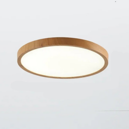 Aeris Minimalist Ceiling Light for Home | Niki