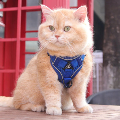 secure escape-proof cat vest | CATWALKS