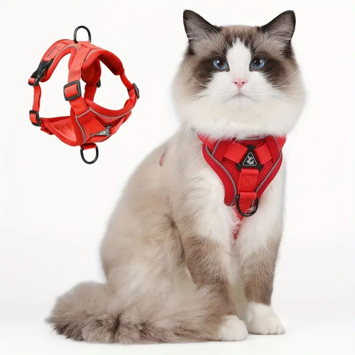 secure escape-proof cat vest | CATWALKS