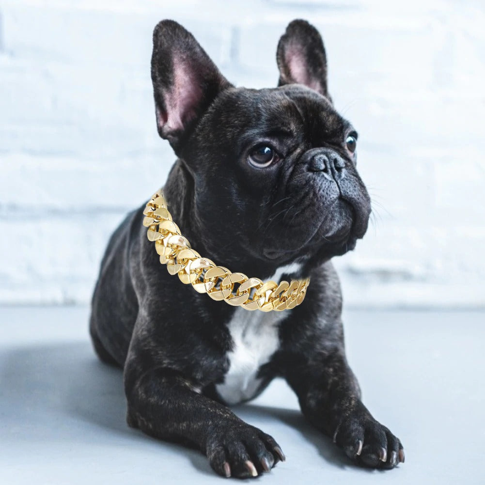 Gold Chunky Chain Dog Collar Accessory