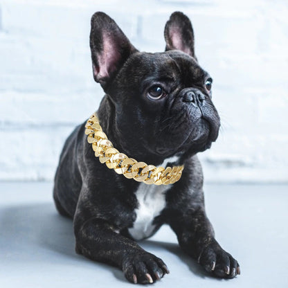 Gold Chunky Chain Dog Collar Accessory