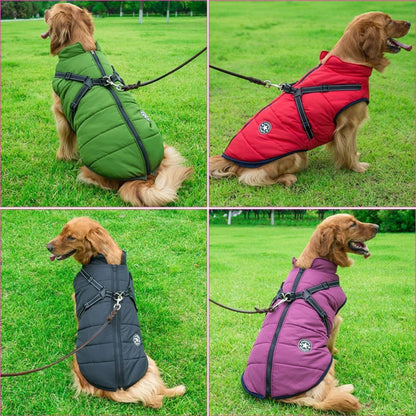DryPaw • Waterproof Dog Coat