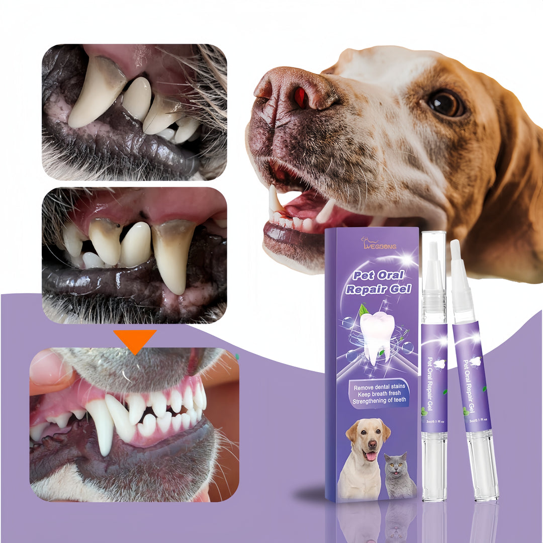 FreshBite Pet Dental Pen