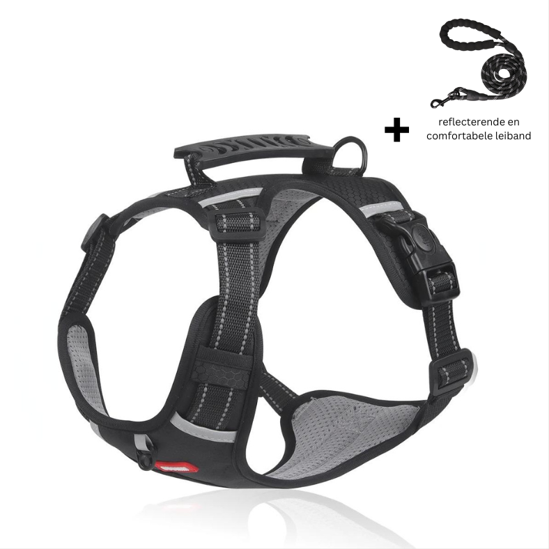 Niki | Dog Harness with Reflective Straps for Safety