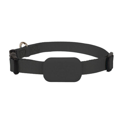 Niki | Dogs & Cats GPS Tracker Collar Real-Time Location