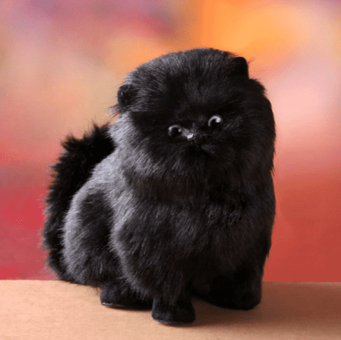 Niki | Enchanting, electric, interactive plush kitten