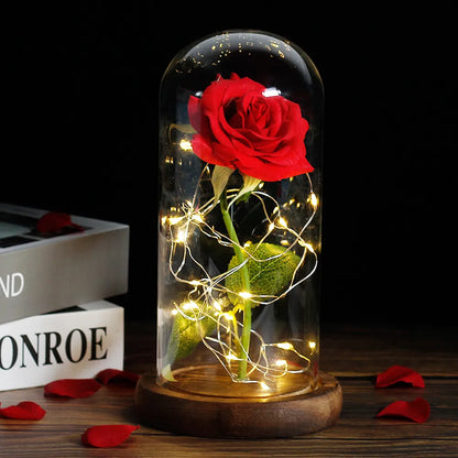 Niki – Eternal Rose in Glass Dome with Atmospheric LED Lighting
