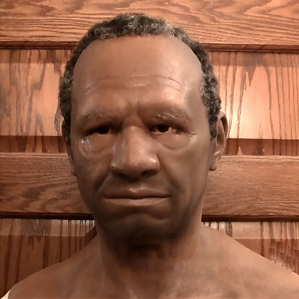 Niki | Adult Realistic Latex Mask | Highly Flexible