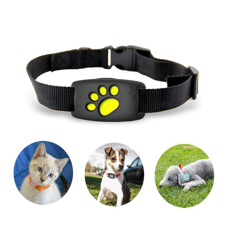 Niki | GPS Cat Harness