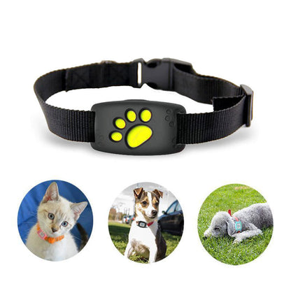 Niki | GPS Cat Harness