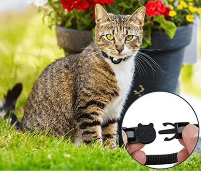Niki | GPS Collar for Cats with Reflective Design