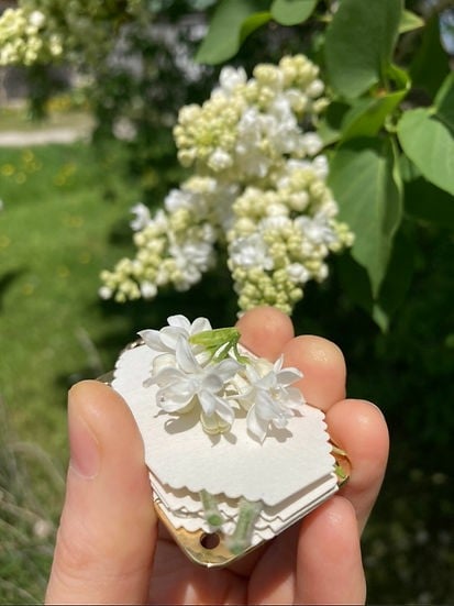 Niki | Pocket Flower Press for Botanicals | Tiny Nature Craft Kit | Travel-Friendly