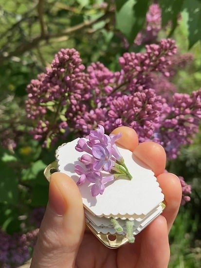 Niki | Pocket Flower Press for Botanicals | Tiny Nature Craft Kit | Travel-Friendly