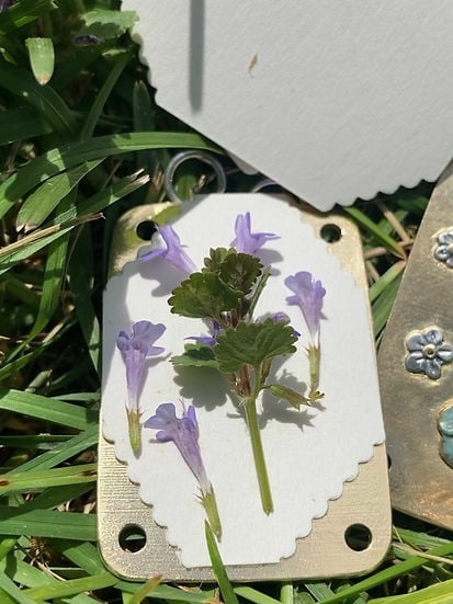 Niki | Pocket Flower Press for Botanicals | Tiny Nature Craft Kit | Travel-Friendly