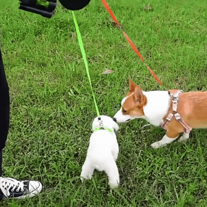 Niki | Never Tangle Again – Double Leash for Dogs with LED Light
