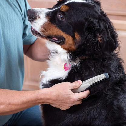 Niki | Effortless pet grooming tool for matted fur
