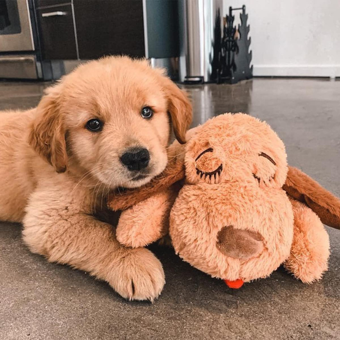 Niki | Plush Dog Calming Toy with Heartbeat Simulation