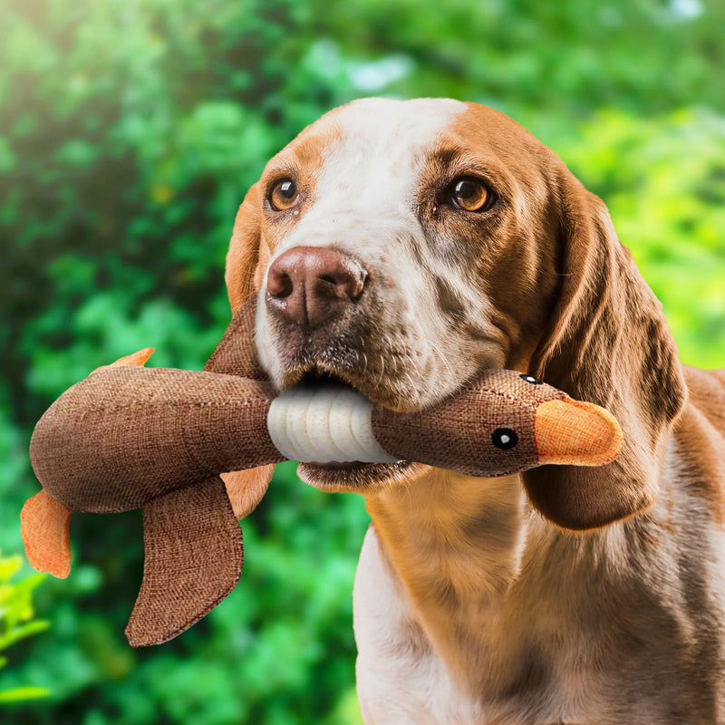 Niki | Soft Duck Squeaker Toy for Playtime & Cuddles