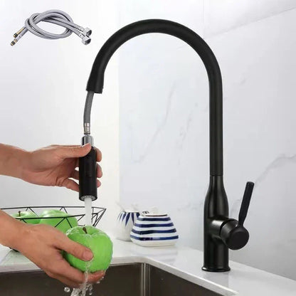 Niki | PureFlow - Kitchen Faucet with Pull-Down Spray
