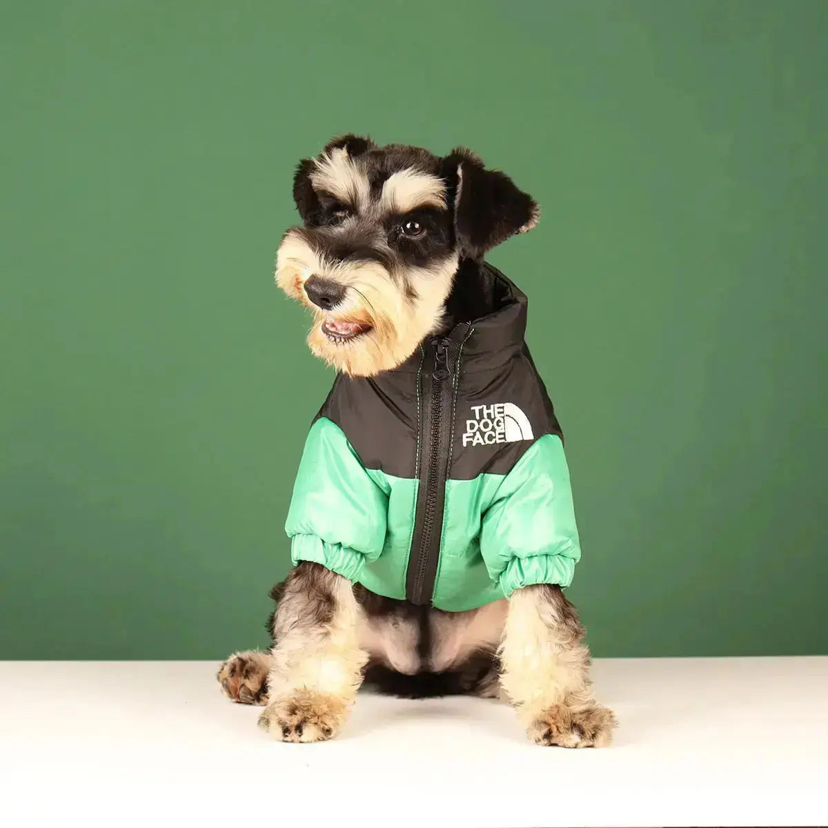 Niki | The Dog Face Jacket - Type A