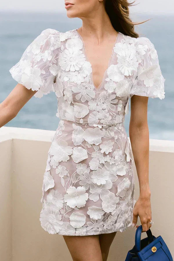 Women's Mini Dress with Floral Applique and Embroidery