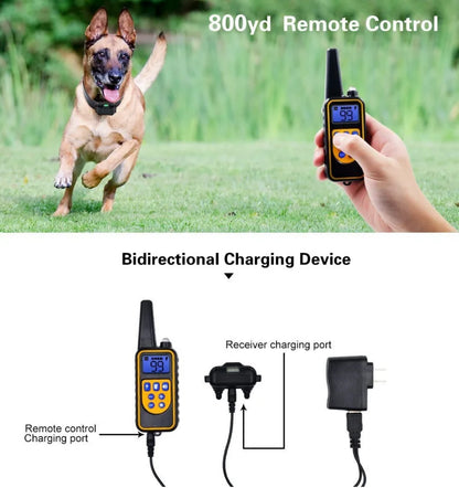 Norvo | Electric Training Collar for Dogs E-collar – Safe, Effective, Remote Control