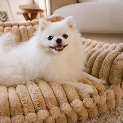 Orthopedic Dog Bed CaniSofa – Joint Support, Washable Cover, Comfortable Headrest