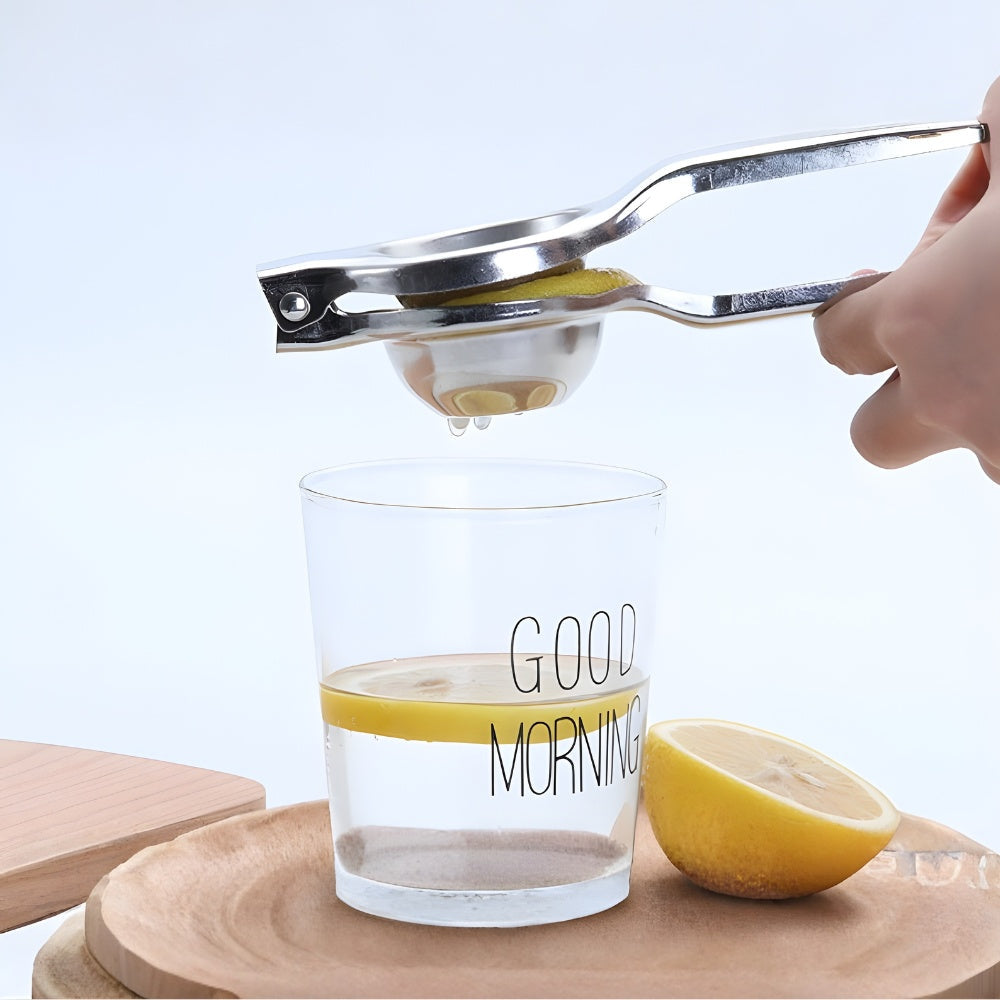 Premium Stainless Steel Citrus Juicer
