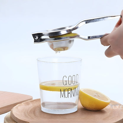 Premium Stainless Steel Citrus Juicer