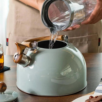 Steel Kettle with Whistle Indicator