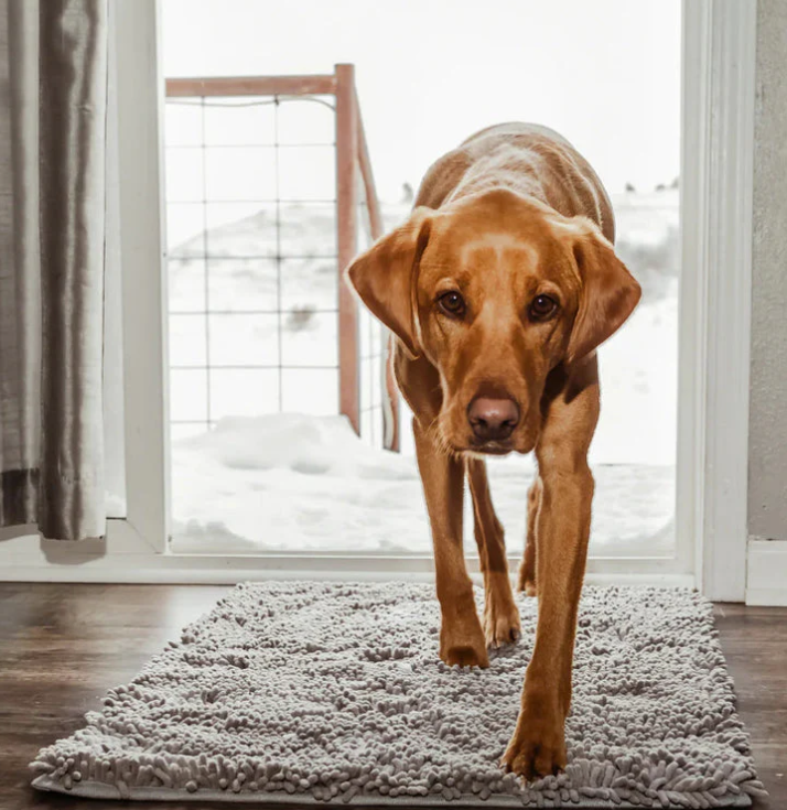 Washable microfiber pet mat - highly absorbent & non-slip