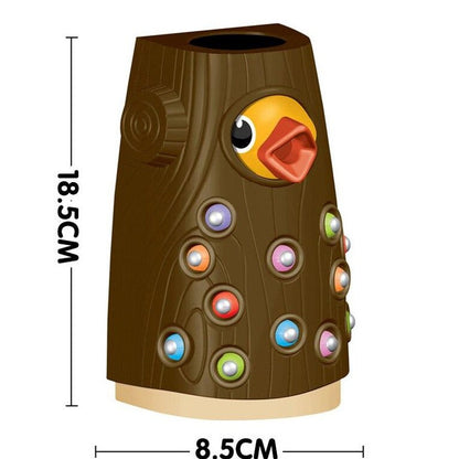 Magnetic Bird Feeding Toy for Toddlers